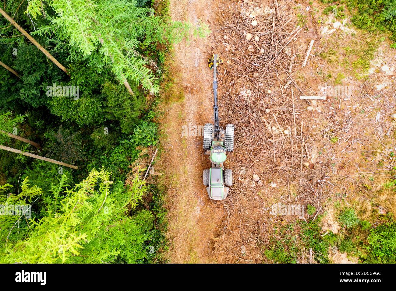 Eine moderne Waldmaschine in einem Wald von oben Nach unten Stockfoto