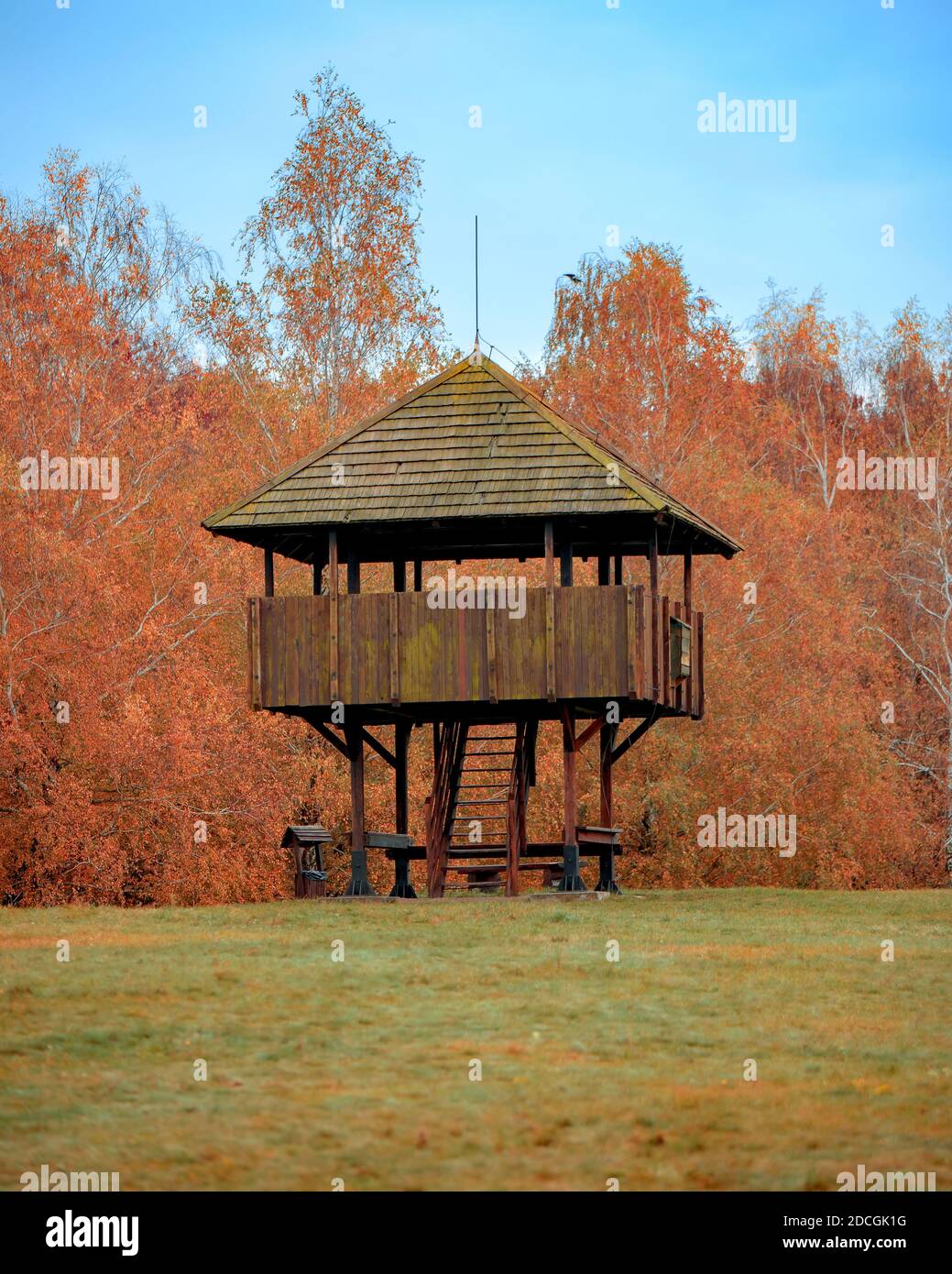 Kanyavar Insel kleiner balaton Gebiet in Ungarn. Berühmte natürliche reeed Bereich. Erstaunliche Natur und Tiere leben hier. Durch eine erstaunliche Holzbrücke Sie Stockfoto