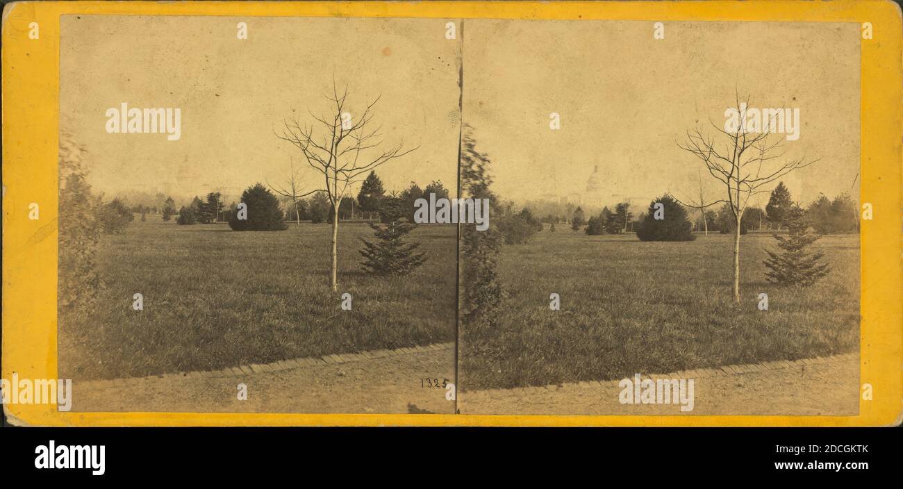 Smithsonian Institute. Capitol in der Ferne., E. & H.T. Anthony (Firm), 1860, Washington (D.C Stockfoto