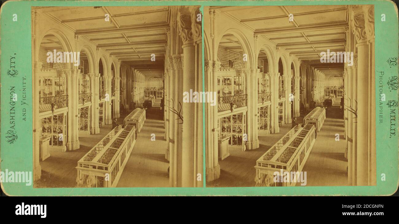 Museum, Smisthsonian., Smillie, T. W. (Thomas William) (1843-1917), Washington (D.C.), USA Stockfoto