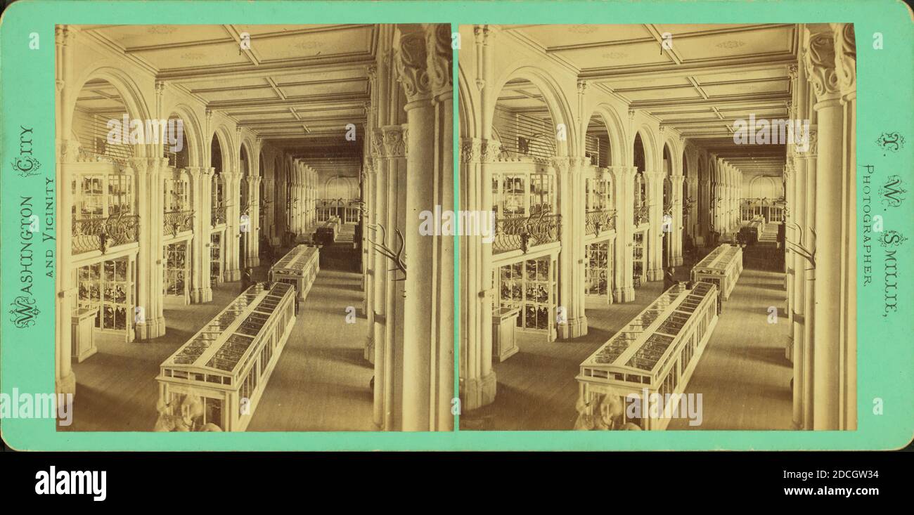Museum, Smisthsonian., Smillie, T. W. (Thomas William) (1843-1917), Washington (D.C.), USA Stockfoto