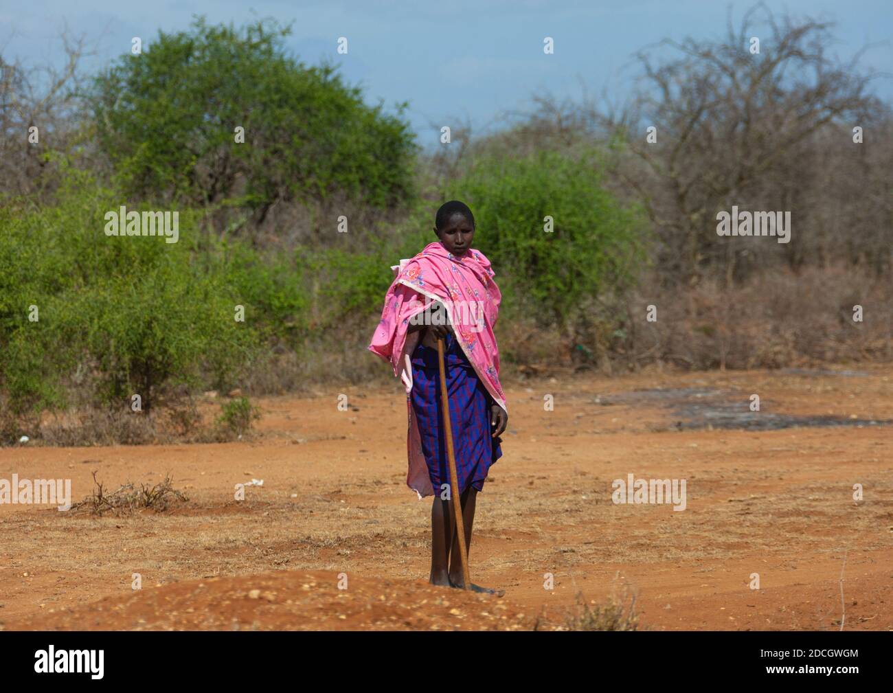 Maasai Frau im Busch, Rift Valley Province, Maasai Mara, Kenia Stockfoto