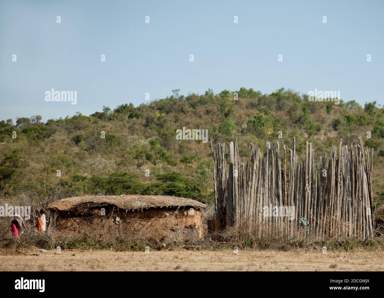 Maasai Haus mit Holzzäunen für die Rinder, Rift Valley Province, Maasai Mara, Kenia Stockfoto