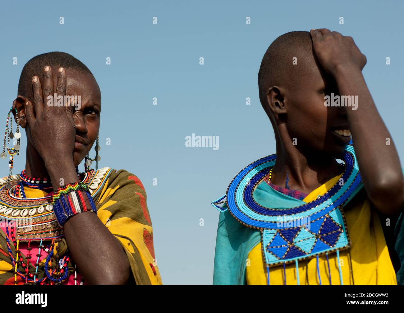 Maasai Frauen mit großen Halsketten, Rift Valley Province, Maasai Mara, Kenia Stockfoto