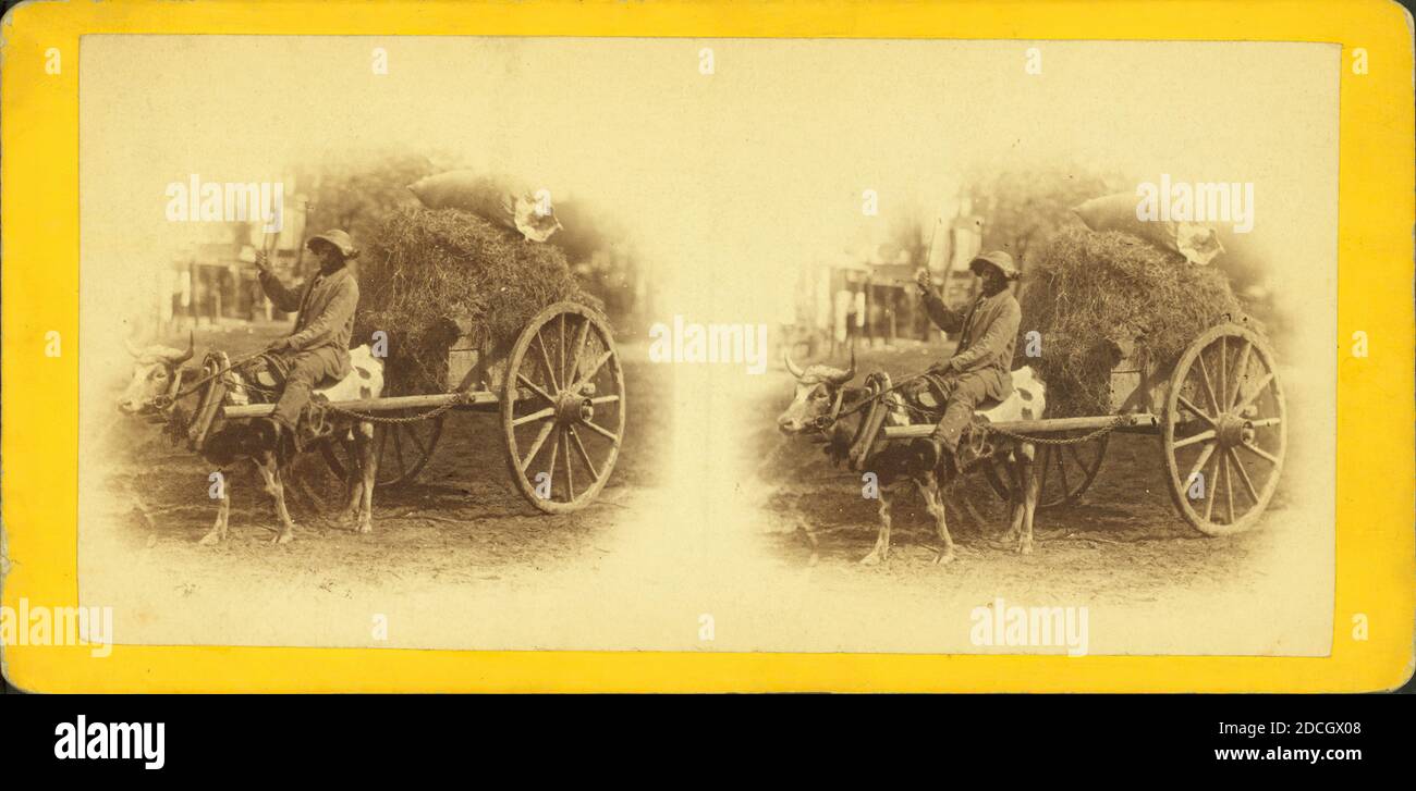 15. Änderung bringt seine Ernte in die Stadt. Mann auf einem mit Heu beladenen Ochsenkarren., Wilson & Havens, 1868 Stockfoto