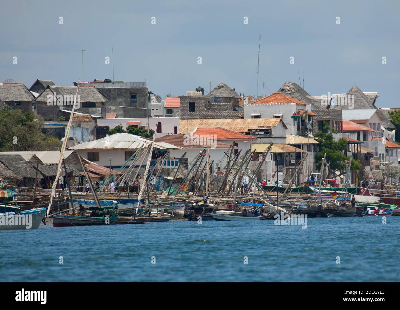 Alte Stadt am Wasser mit Daus im Hafen, Lamu County, Lamu, Kenia Stockfoto