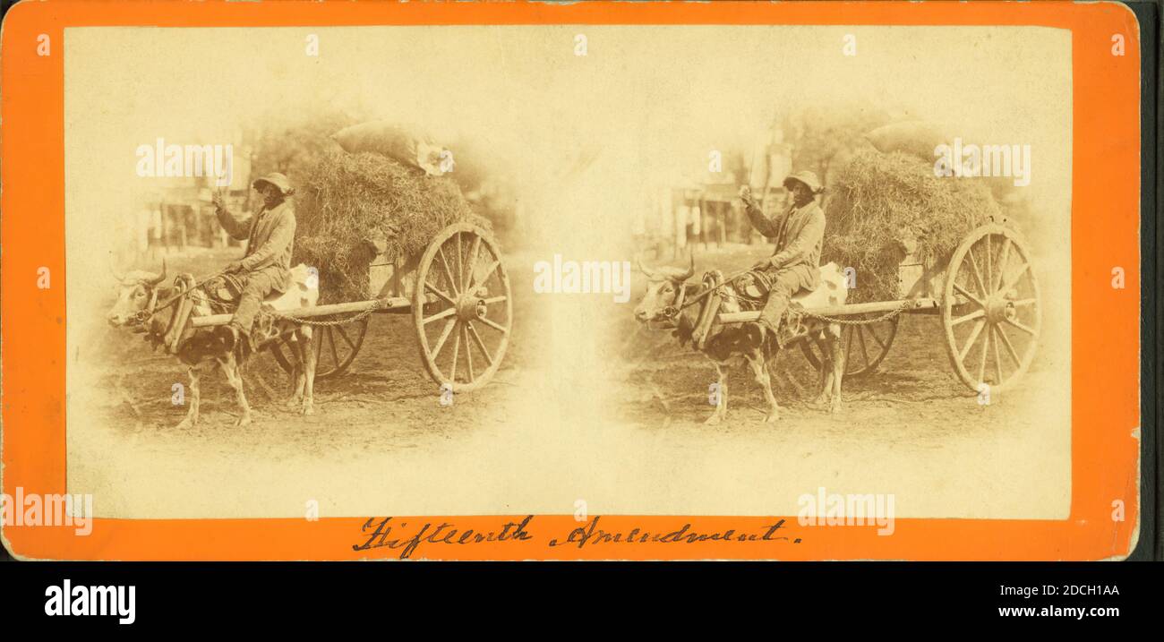 15. Änderung bringt seine Ernte in die Stadt. Mann auf einem mit Heu beladenen Ochsenkarren., Wilson, J. N. (Jerome Nelson) (1827-1897 ), 1868 Stockfoto