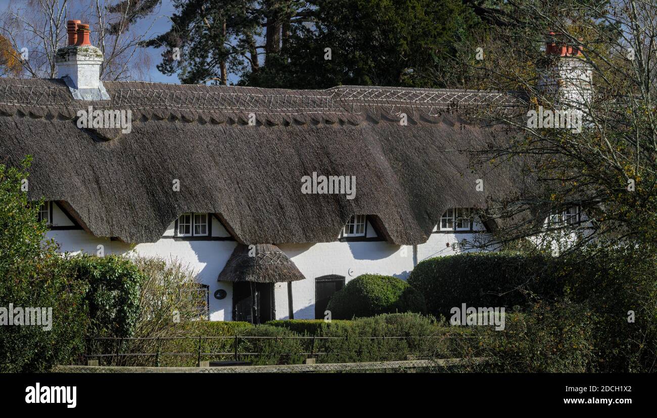 Reihe von verbundenen strohgedeckten Cottages in Swan Green New Forest Hampshire England Großbritannien, 18. Jahrhundert Klasse 2 aufgeführt Stockfoto