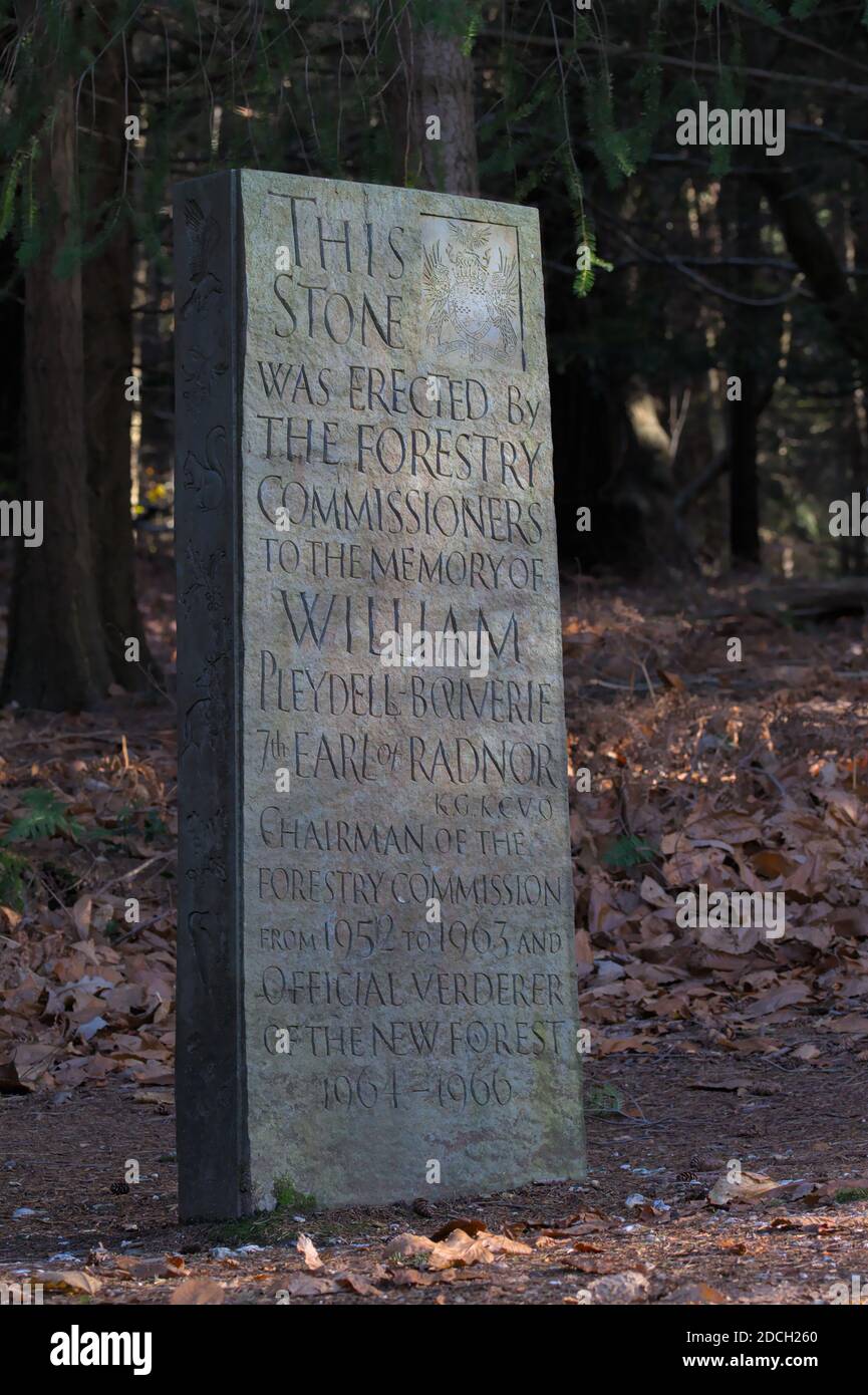 Der Radnor Stein beleuchtet von Sun Light im Herbst mit geschnitzten Inschrift und Waldtiere, Bolderwood New Forest UK. Ein Denkmal für William Pleydell Bouve Stockfoto