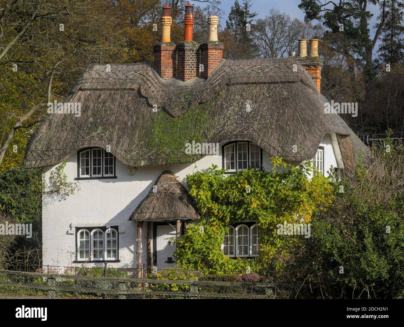 Vorderseite des Beehive Cottage mit Wisteria English 18. Jahrhundert Reetgedeckten Cottage, Klasse 2 aufgeführt. Swan Green Cottages, New Forest, Lyndhurst UK Stockfoto