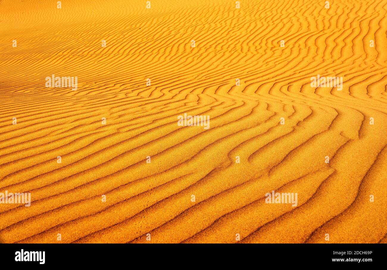 Sanddünen in der Sahara Wüste, Afrika Stockfoto