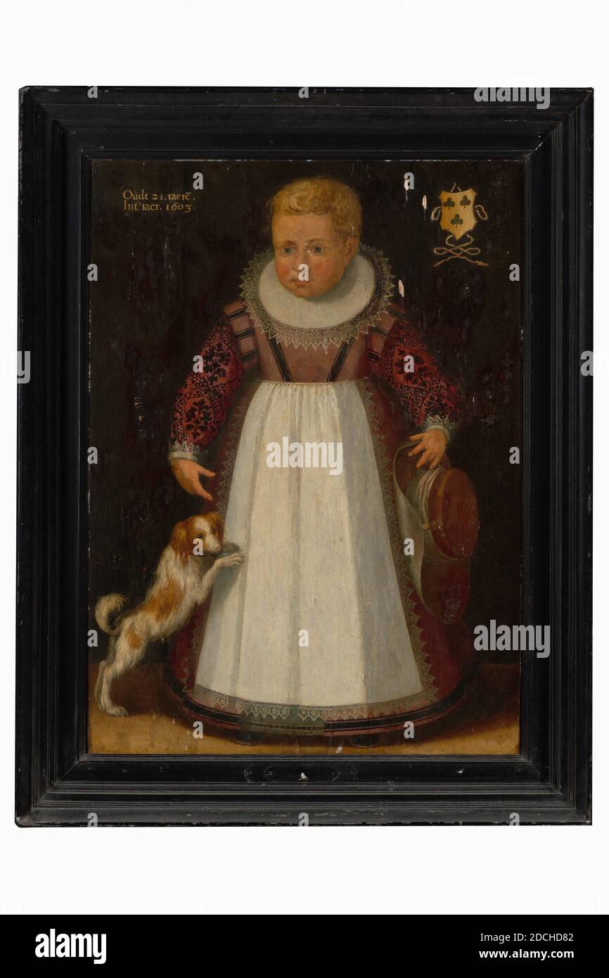 Gemälde, Isaac Claesz. Van Swanenburg (zugeschrieben), 1603, Tafel, Ölfarbe, bemalt, Träger: 86 × 62.5 × 0,5cm (860 × 625 × 5mm), mit Rahmen: 103 × 81 × 8,2 cm (1030 × 810 × 82 mm), Kinderportrait, Hund, Familienwappen, Porträt eines unbekannten Kindes im Alter von 2 1/2 Jahren. Er wird in voller Gestalt dargestellt, steht nach vorne und schaut auf den Betrachter. Er trägt kurze blonde Haare und ist in einem lila-roten Kleid mit schwarzem Muster, einer weißen Schürze und einem runden Kragen mit Spitzenkanten gekleidet. Er hält einen großen Hut in der linken Hand. Das Kind ist mit einem springenden Kooikerhondje auf der linken Seite dargestellt. Oben rechts ist Stockfoto