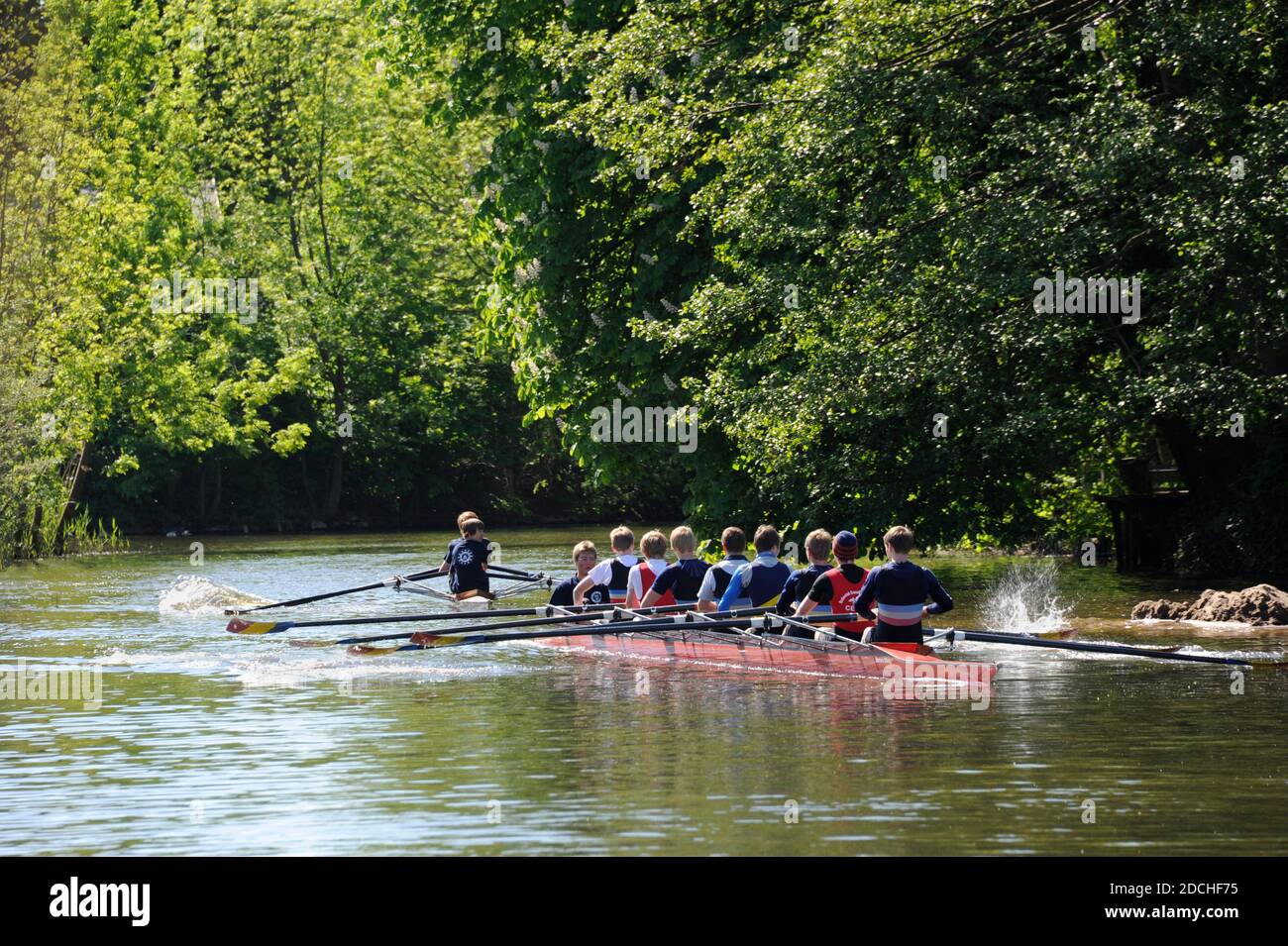 Celle, Anredern am 1. Mai Stockfoto