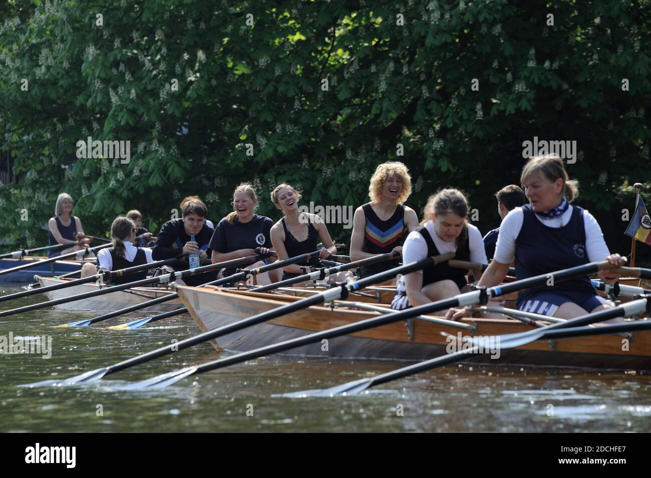 Celle, Anredern am 1. Mai Stockfoto