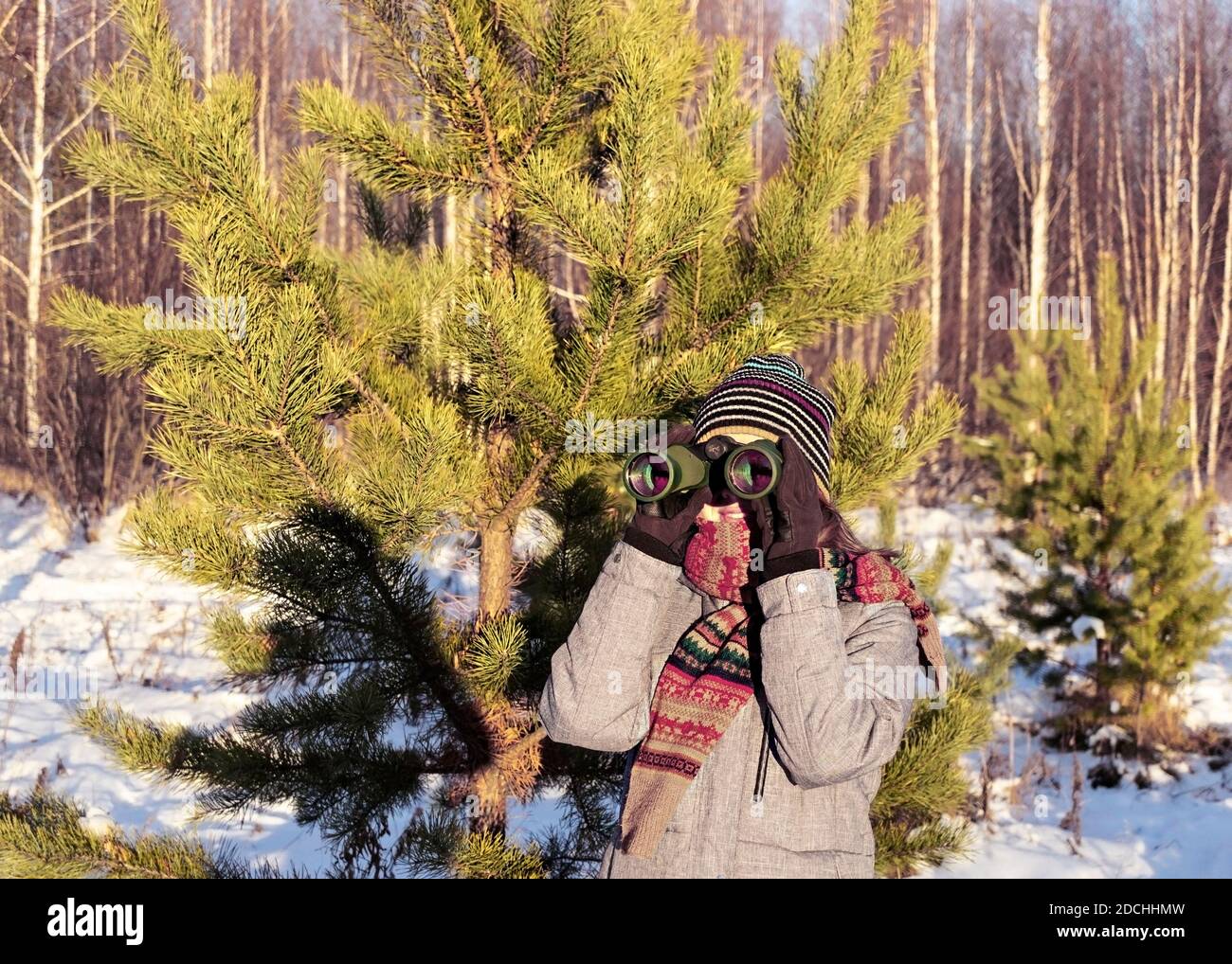 Junge Frau Vogelbeobachter in Winterkleidung und Strickschal Blick durch Ferngläser im Winter verschneiten Kiefernwald. Ökologie und ornithologische Forschung c Stockfoto