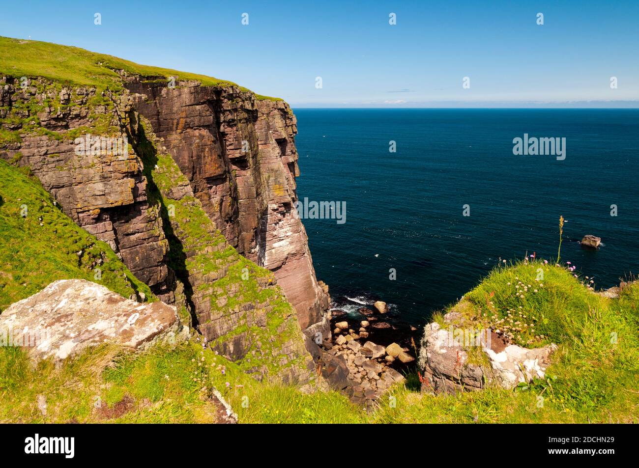 Meeresklippen auf der Insel Handa vor der Nordwestküste Schottlands. Juni. Stockfoto