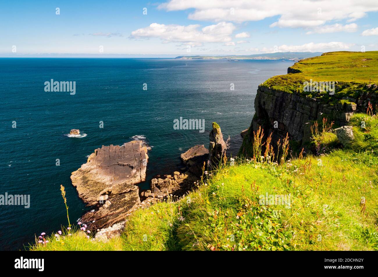 Meeresklippen auf der Insel Handa vor der Nordwestküste Schottlands. Juni. Stockfoto