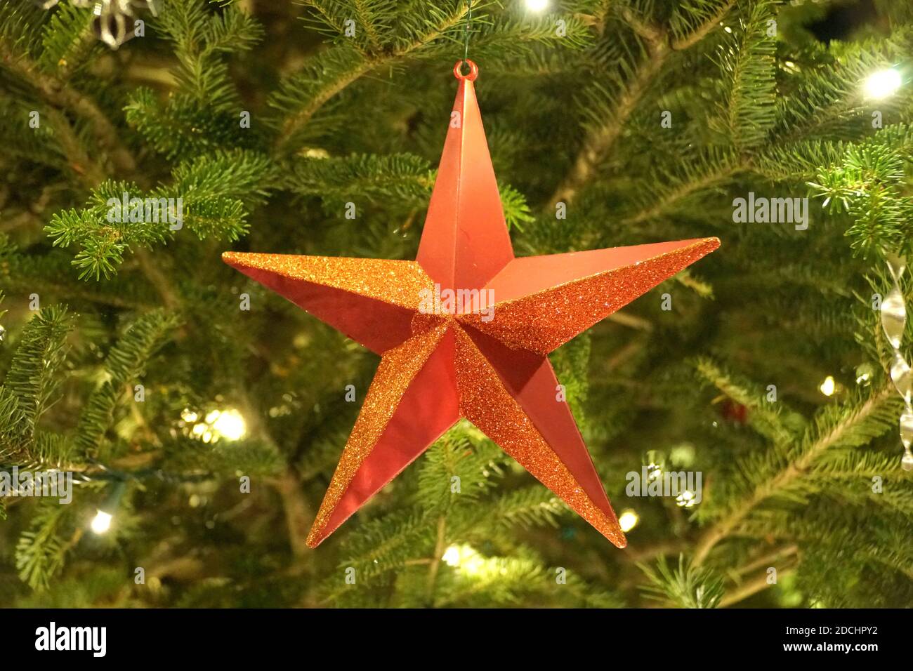 Ein roter Sternschmuck auf einem hellen Weihnachtsbaum Stockfoto