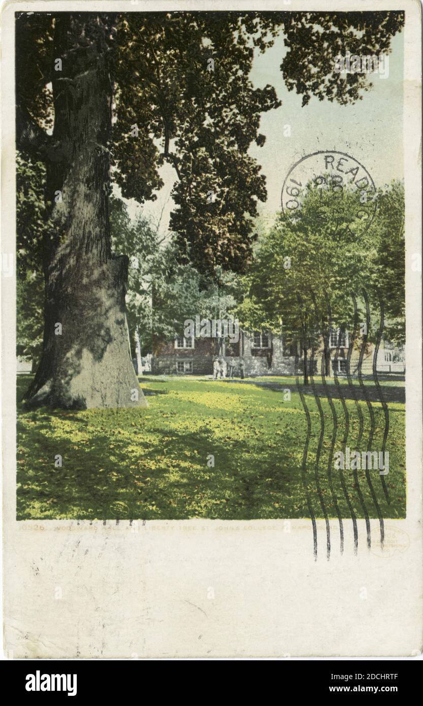 Woodward Hall and Liberty Tree, St. John's College, Annapolis, MD., Standbild, Postkarten, 1898 - 1931 Stockfoto