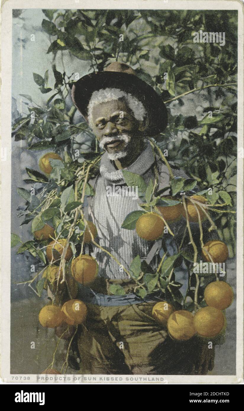 Produkte von Sun Kissed Southland, Foto, Postkarten, 1898 - 1931 Stockfoto