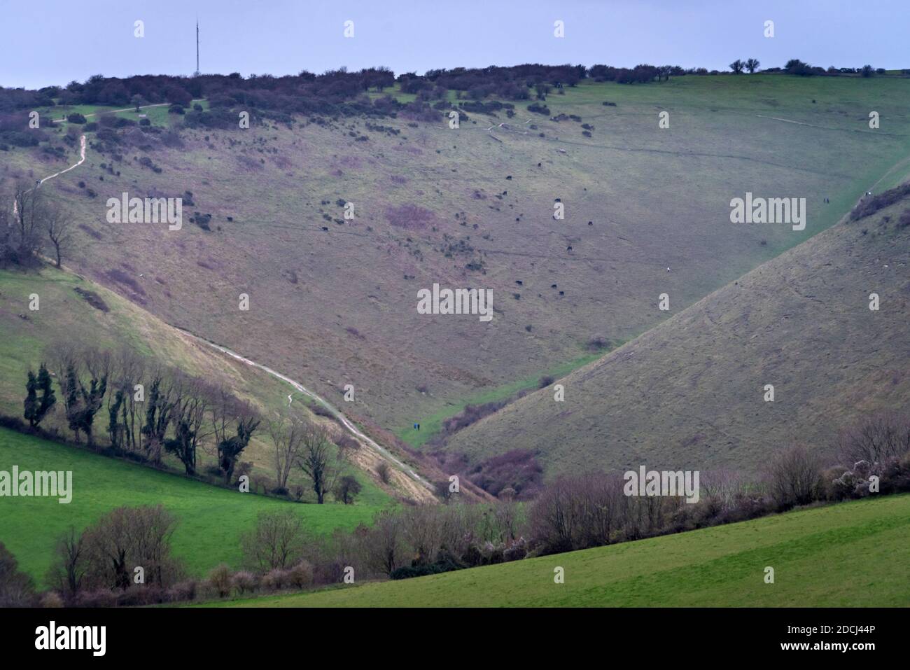 Saddlescombe, 21. November 2020: Blick über den Devil's Dike auf den South Downs vor Brighton Stockfoto