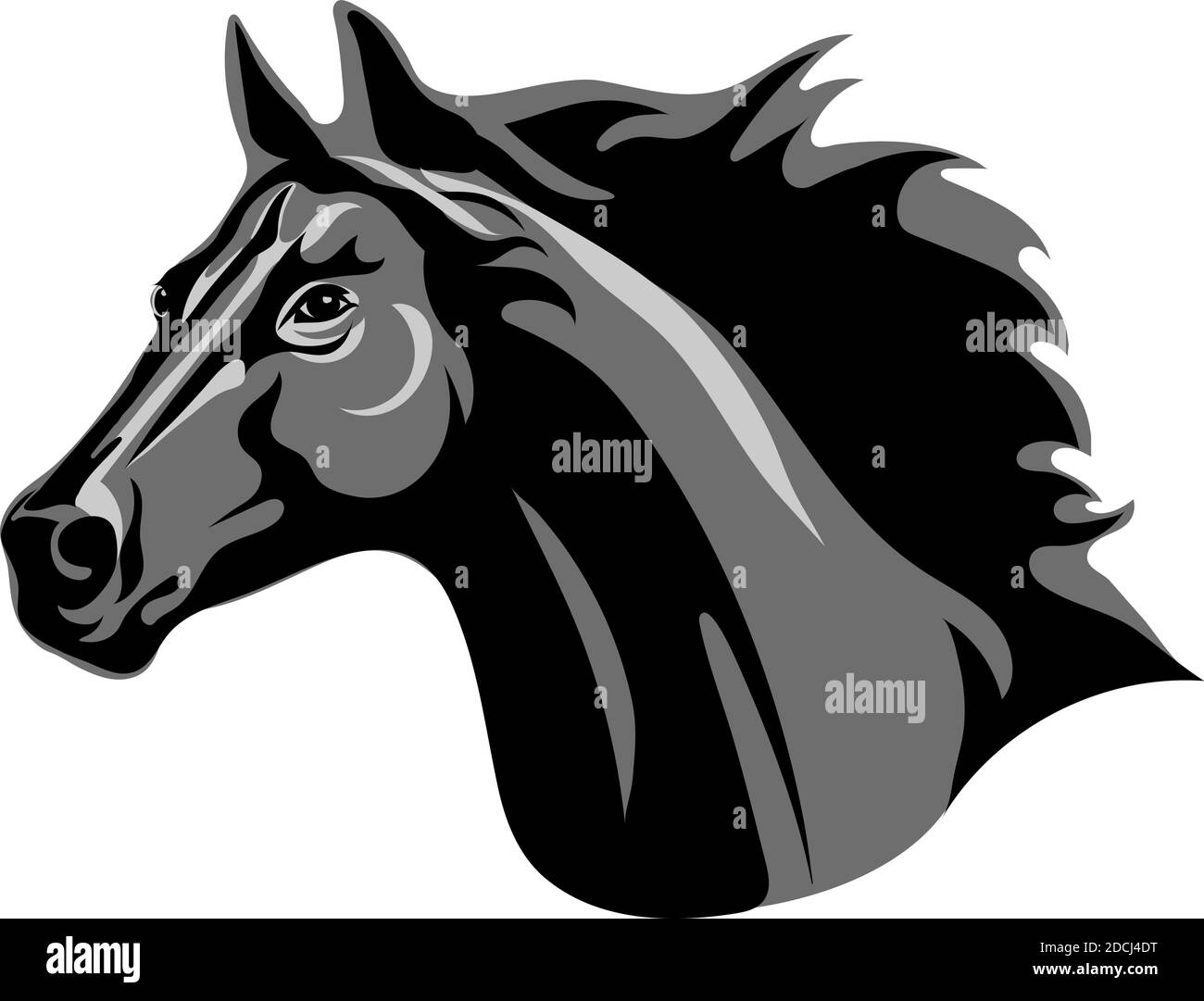 Pferd, Porträt, weiß, schwarz, grau, Schattierungen Stock Vektor
