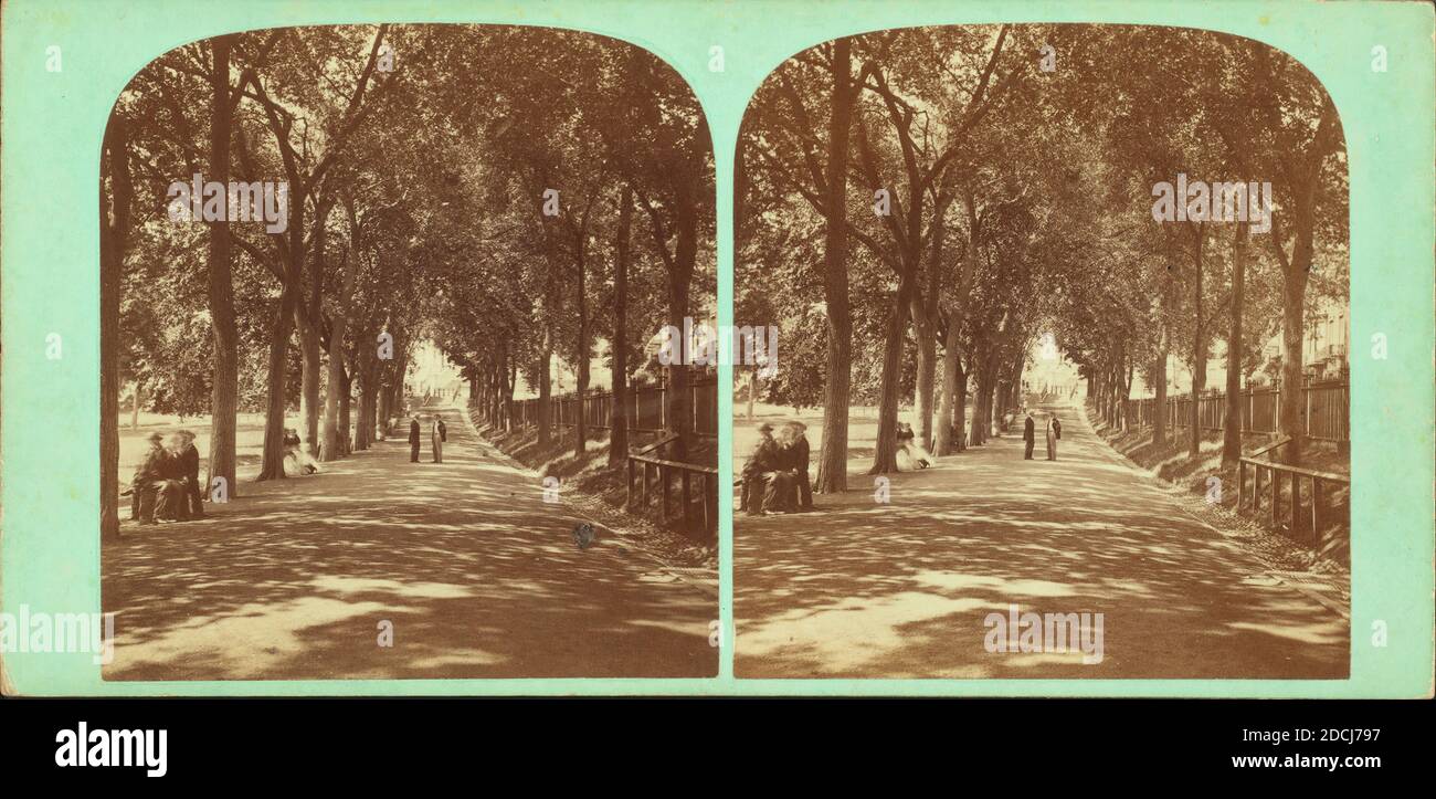 Park Street Mall., Standbild, Stereographen, 1850 - 1930, Heywood, John B. (d. 1870 Stockfoto