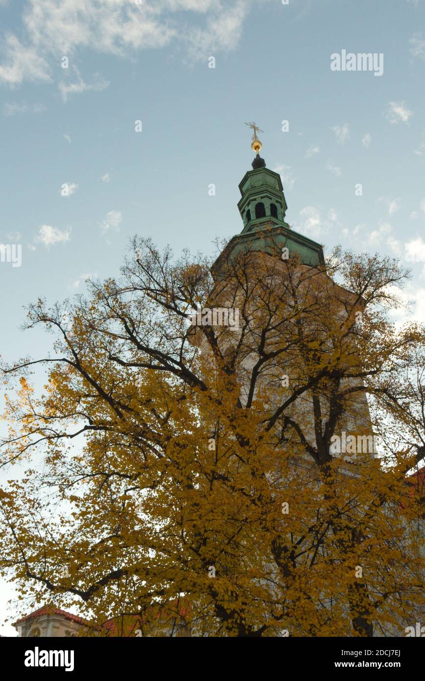 Gelber Herbstbaum in der Nähe des Klosters Strahov in Prag. Stockfoto