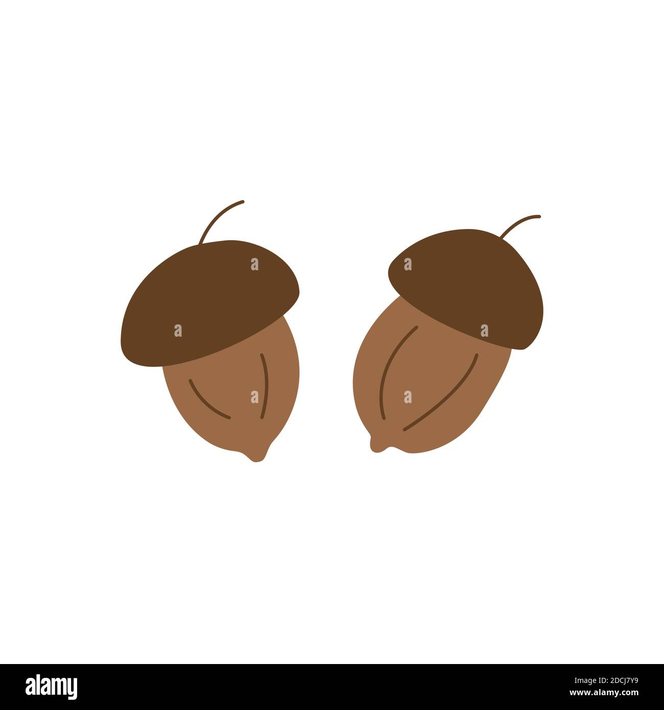 Eicheln auf weißem Hintergrund. Handgezeichnete Vektor-Design-Stil isolierte Illustration. Herbstsaison. Eiche Stock Vektor