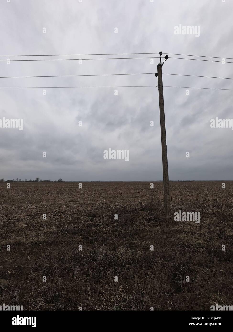 Elektrische Stange in einem Feld an einem bewölkten Abend. Stockfoto