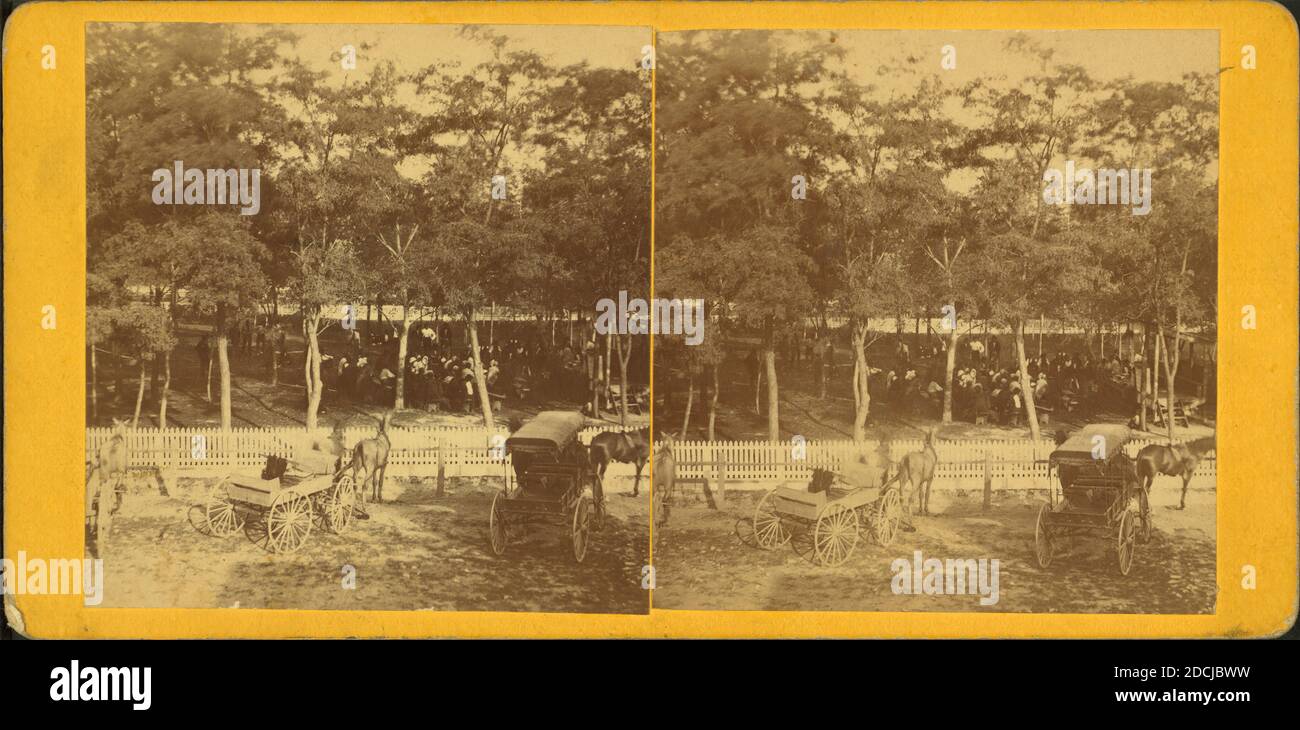 Menschen versammelten sich in einem Park, Waggons und Buggys in der Nähe von Pfostenzaun., Standbild, Stereographen, 1850 - 1930, Schaub, J. T. Stockfoto