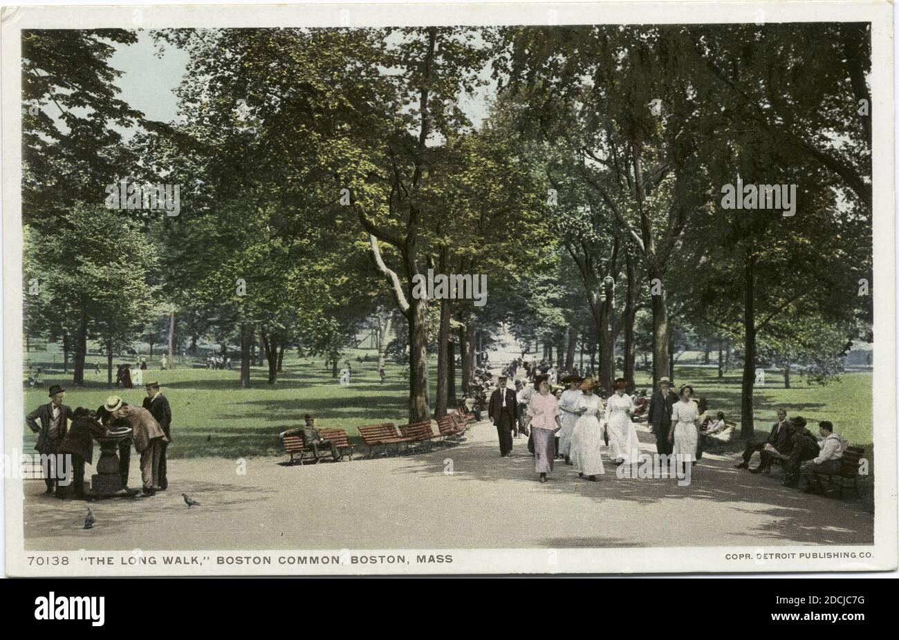 The Long Walk, Boston Common, Boston, Mass., Standbild, Postkarten, 1898 - 1931 Stockfoto