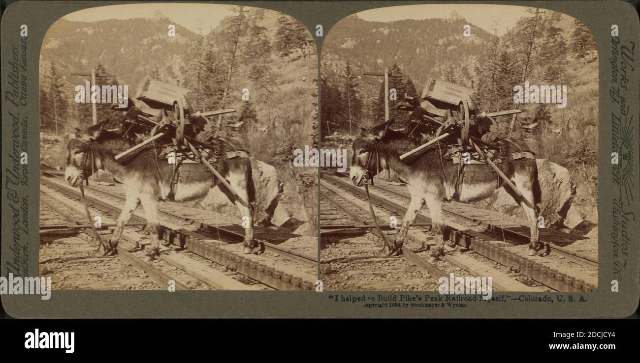 Ich half, Pike's Peak Railroad selbst zu bauen,' Colorado, USA, Standbild, Stereogramme, 1850 - 1930 Stockfoto