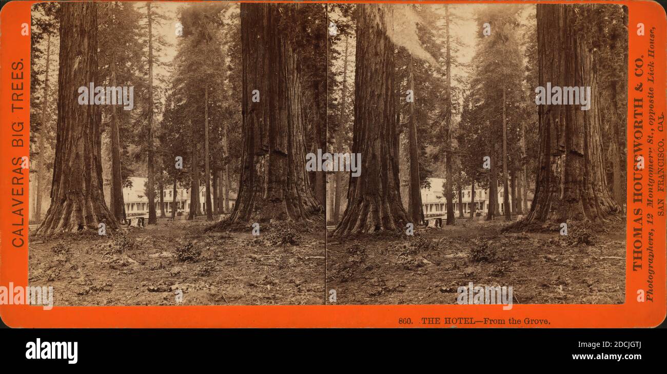 Das Hotel, aus dem Grove., Standbild, Stereographen Stockfoto