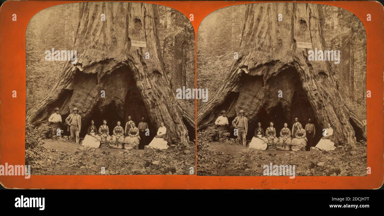 Pioneer's Cabin., Standbild, Stereographen Stockfoto