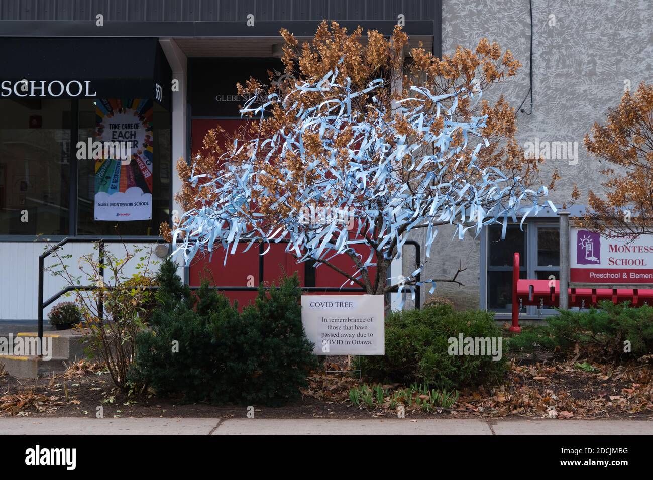Ottawa, 21. November 2020. Covid Tree, ein Baum, der vor der Schule mit je einem Band aufgestellt wurde, um an diejenigen zu erinnern, die in der Stadt an Viren gestorben sind Stockfoto