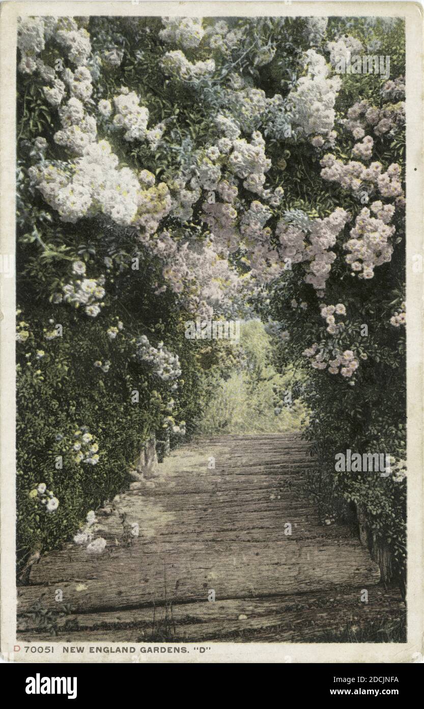 New England Gardens D (oder American Gardens), landschaftlich, Standbild, Postkarten, 1898 - 1931 Stockfoto