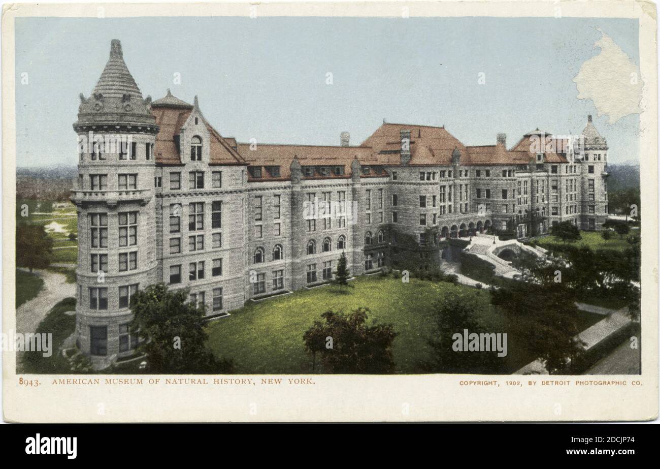 American Museum of Natural History, New York, N. Y., Standbild, Postkarten, 1898 - 1931 Stockfoto