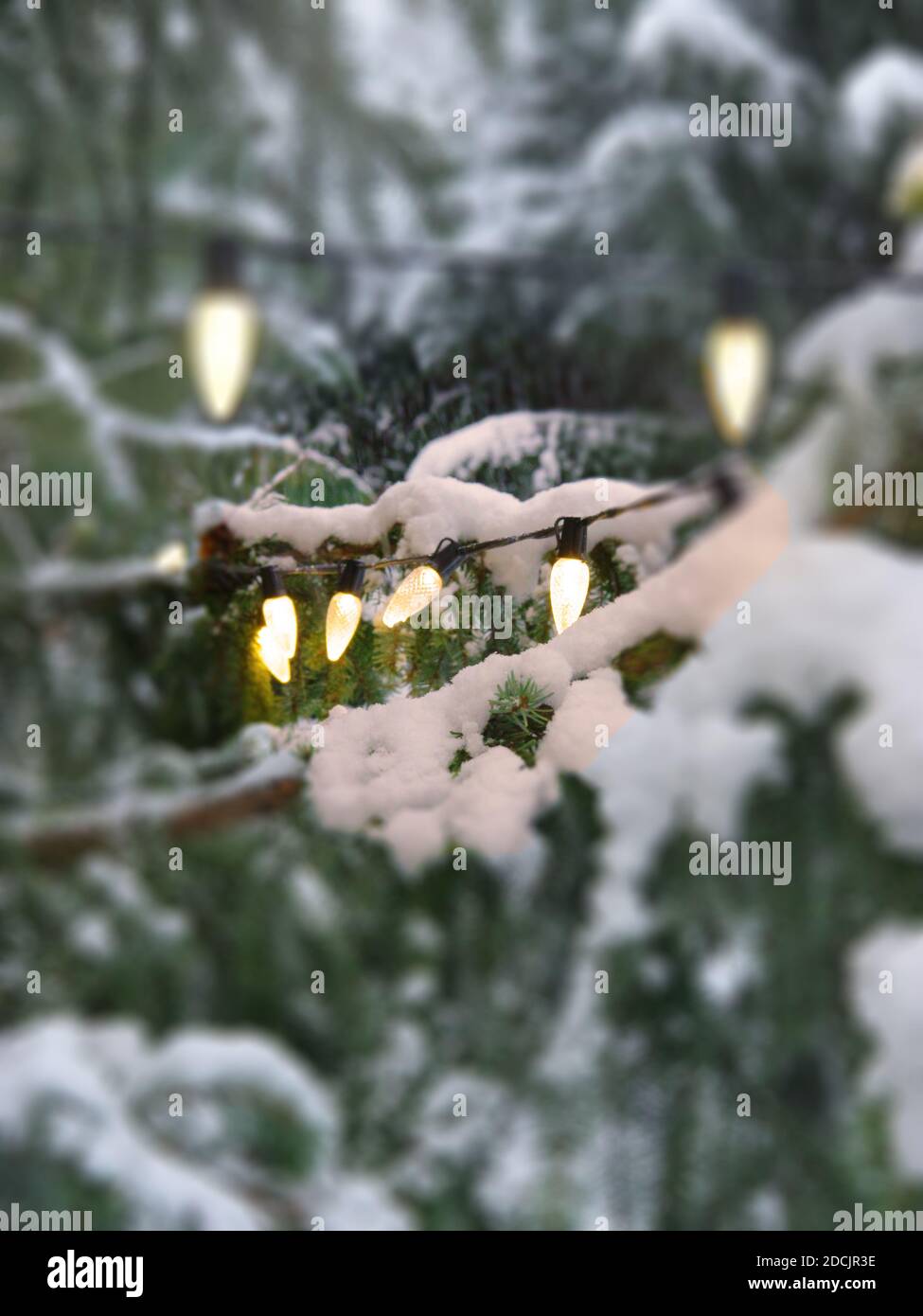 Versteckte Lichter Stockfoto