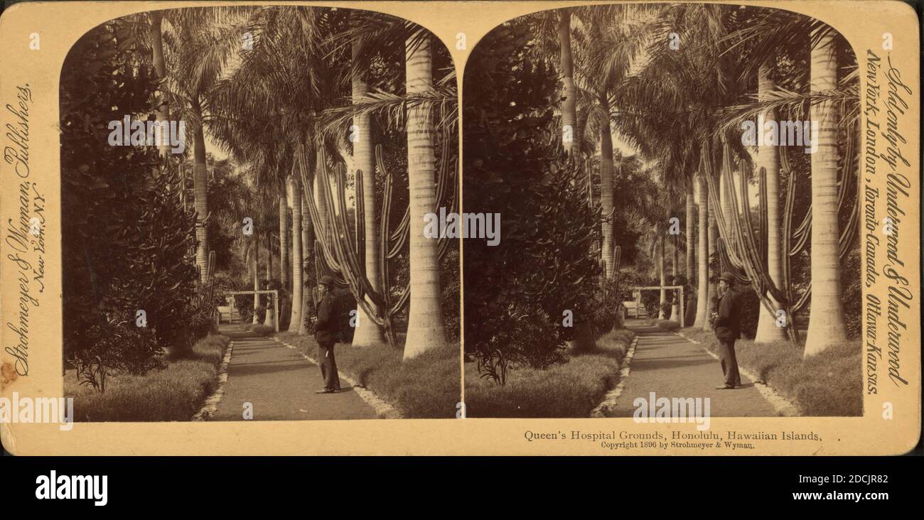 Queen's Hospital Grounds, Honolulu, Hawaiian Islands., Standbild, Stereographen, 1850 - 1930 Stockfoto