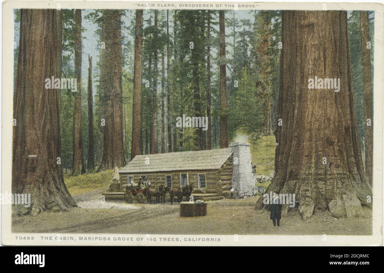 The Cabin, Grove of Big Trees, Mariposa, Kalifornien, Standbild, Postkarten, 1898 - 1931 Stockfoto