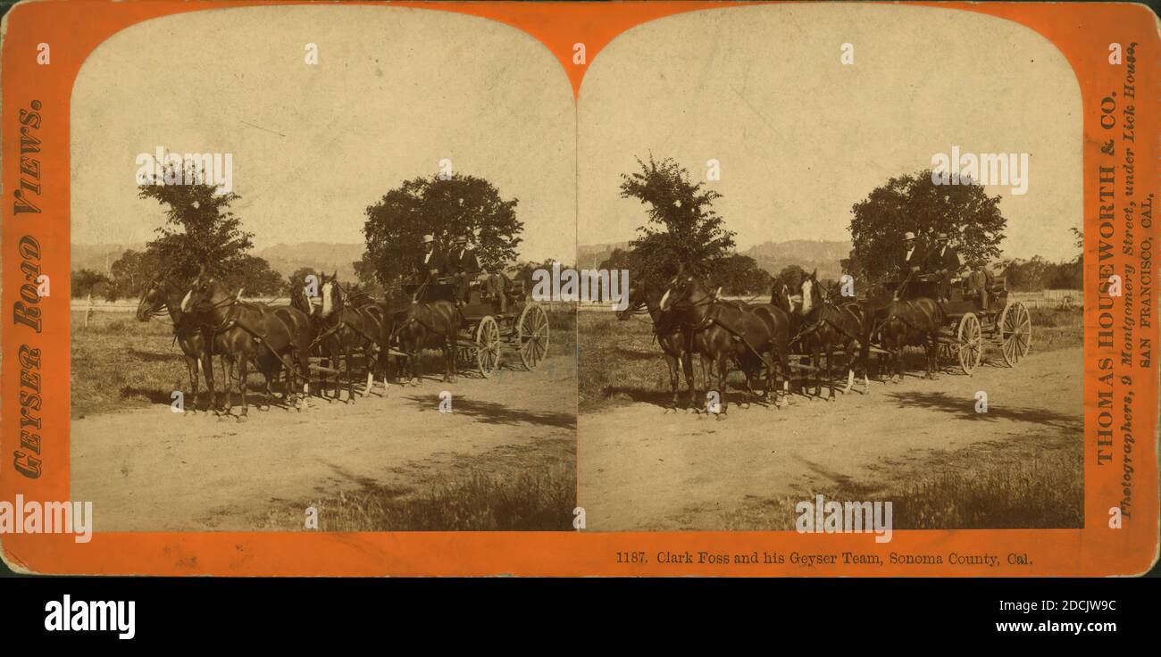 Clark Foss und sein Geyser Team, Sonoma County, Cal., Standbild, Stereographen, 1850 - 1930, Thomas Housworth & Co Stockfoto