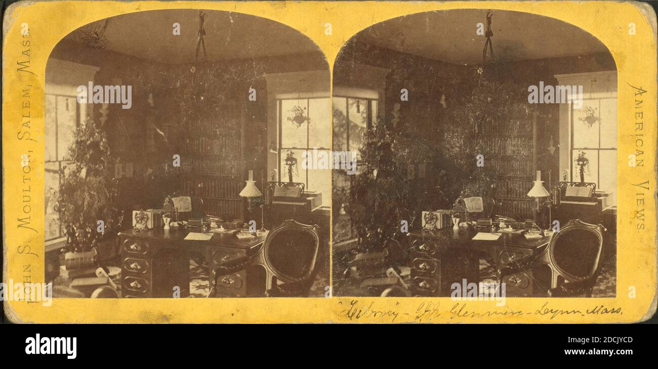 Innenansicht einer Bibliothek in einer Privatresidenz., Standbild, Stereographen, 1850 - 1930, Moulton, John S. (geb. 1820 Stockfoto