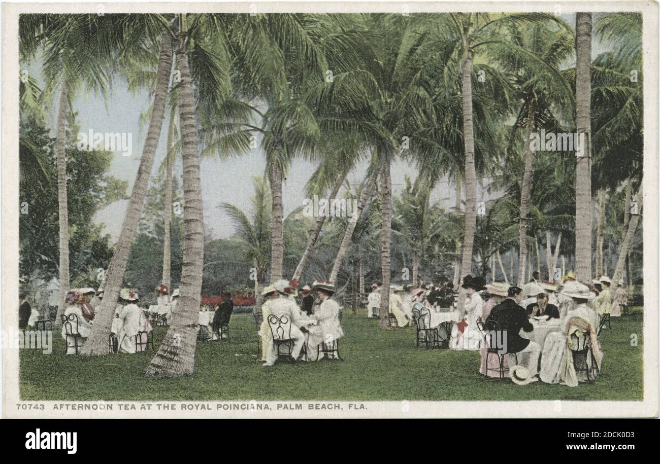 Nachmittagstee, Royal Poinciana, Palm Beach, Fla., Standbild, Postkarten, 1898 - 1931 Stockfoto
