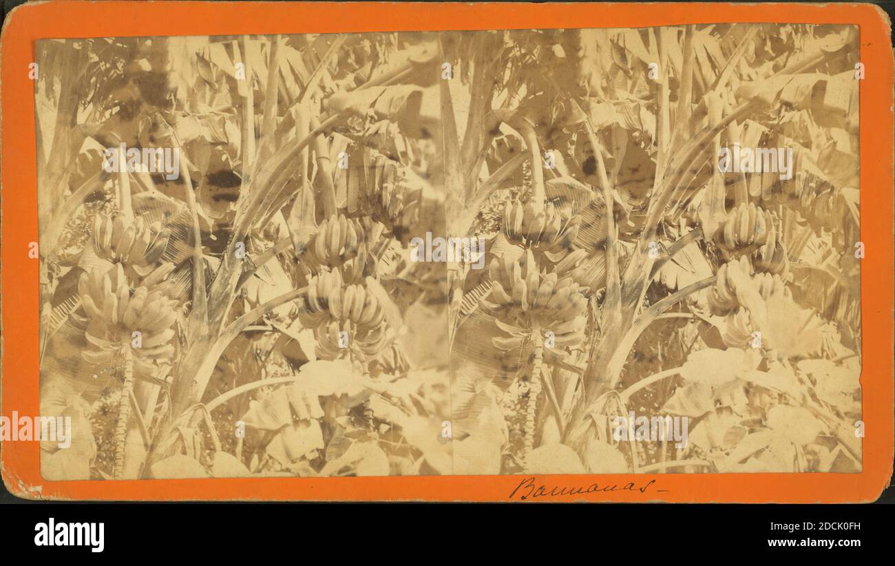 1850 1912 Stockfotos Und Bilder Kaufen Alamy