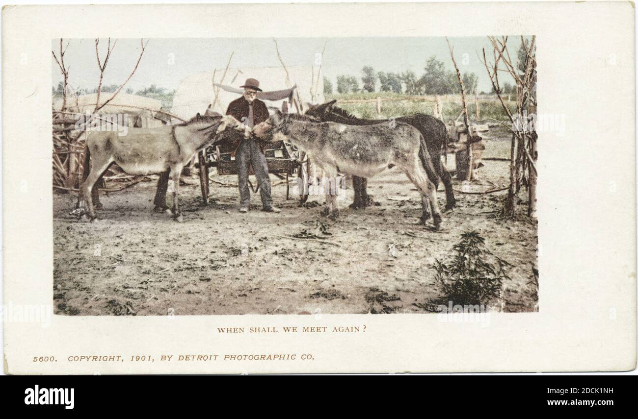 Wann werden wir uns wieder treffen?, Burro, Standbild, Postkarten, 1898 - 1931 Stockfoto