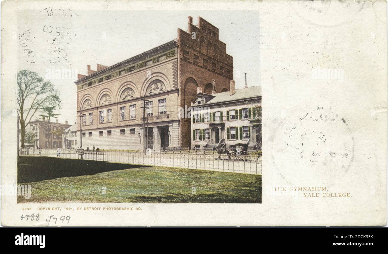 Gymnasium, Yale Coll., New Haven, Conn., Standbild, Postkarten, 1898 - 1931 Stockfoto