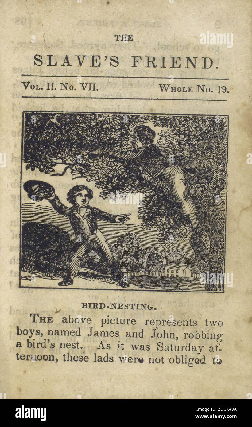 Vogelnisting, Standbild, 1837 Stockfoto