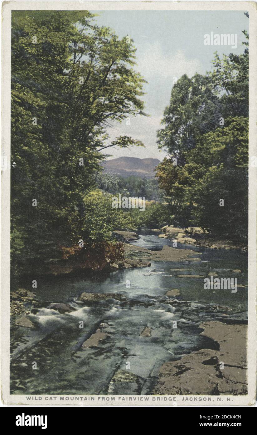 Wild Cat Mountain von Fairview Bridge, Jackson, N. H., Standbild, Postkarten, 1898 - 1931 Stockfoto