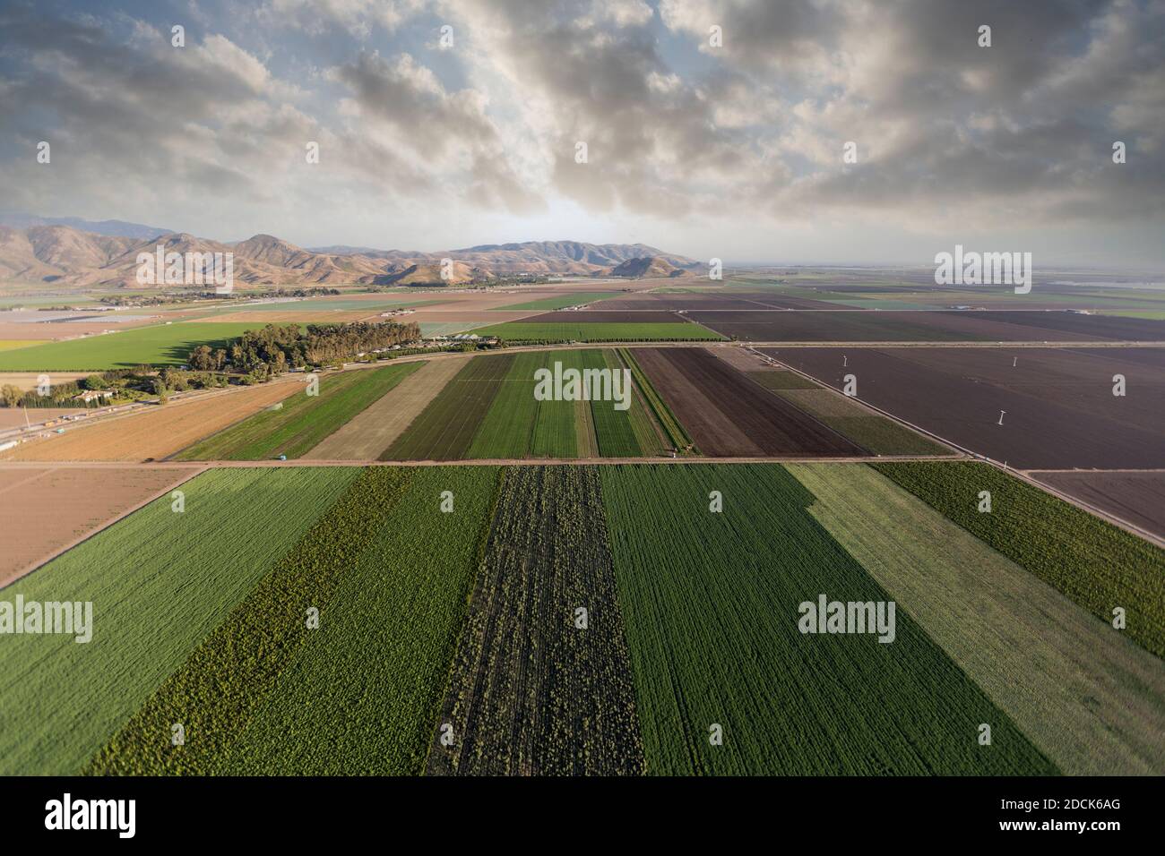 Luftaufnahme der Feldreihen mit bewölktem Himmel in der Nähe von Camarillo in Ventura County, Kalifornien. Stockfoto